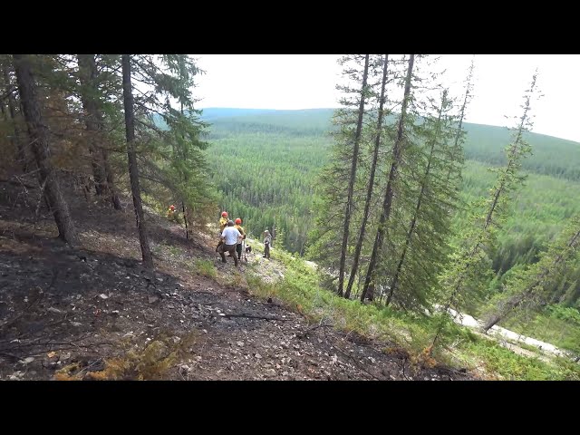 Лесные пожары в Катангском районе