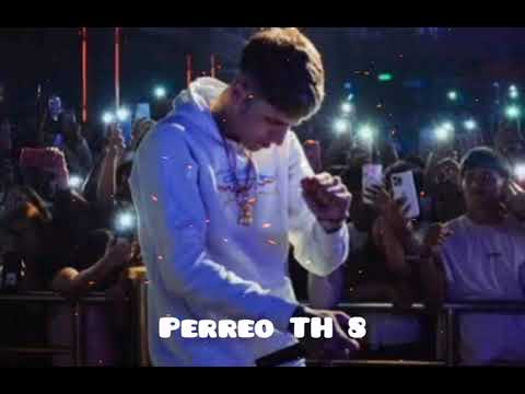PERREO TH 8 - Dj Plaga, mamiyosoyelth, Nico gitman 