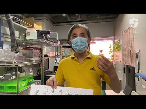 教育学科 【立教・理・生命】眞島恵介研究室