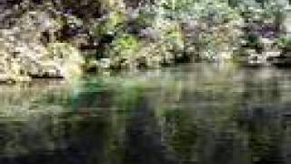 preview picture of video 'Booloumba Creek Beauty - Conondale National Park'