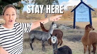 Stanthorpe's Best Guesthouse | Sabo's on Severn