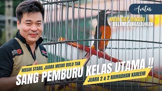 Download lagu Every Week, I Still Consistently Win in the Premier Class‼️ mp3