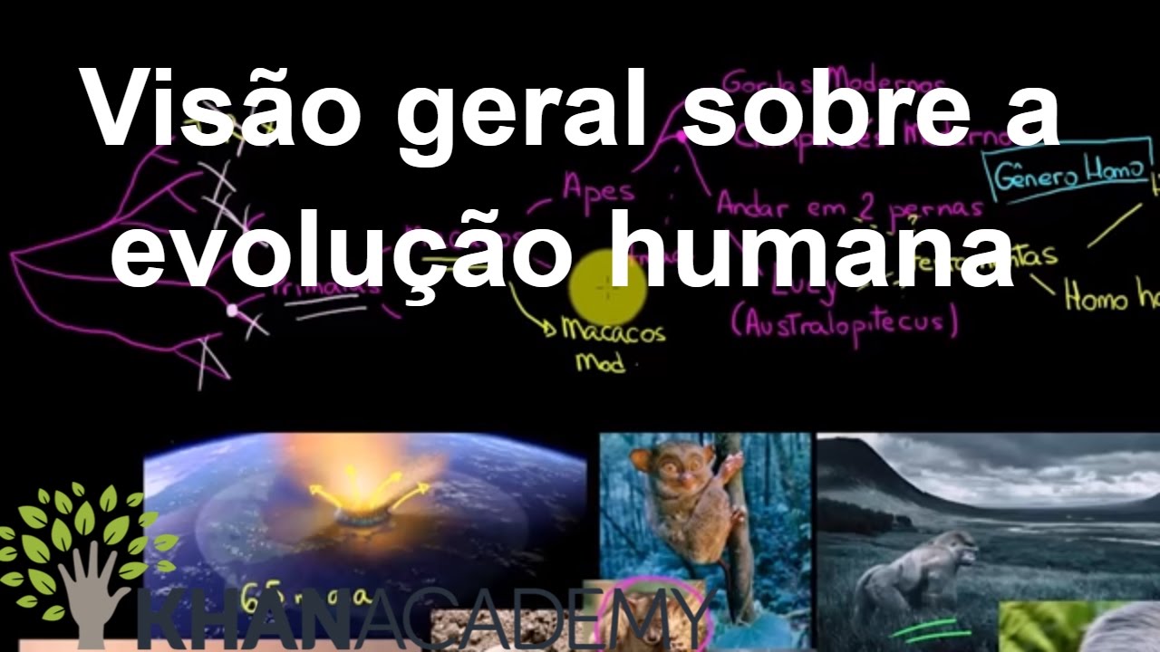 Visão geral sobre a evolução humana | Biologia | Khan Academy
