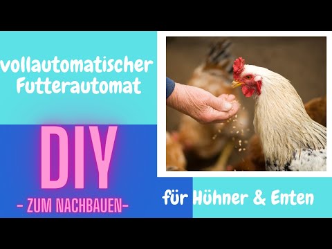 #04 automatischer Futterautomat selbst bauen für unter 50€ !!! DIY