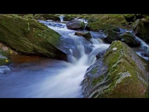 Fototour Spiegelau - Neuschönau