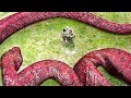 🔥 Titan Snake | Film HD | Action