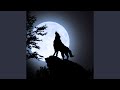 Wolf Howling Forest