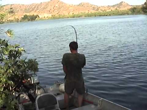 Ebro Fishing Dreams