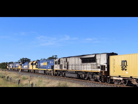 **5 LOCOMOTIVES!** NR22 Leading NR85, AN5, NR113, And LDP006 Southbound!