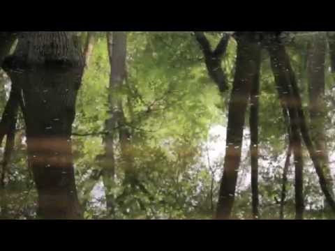 FINAL GIRLS | OFFICIAL THEATRICAL TEASER TRAILER 1