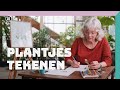 Stoepplantjes tekenen | Doe Het Zelf