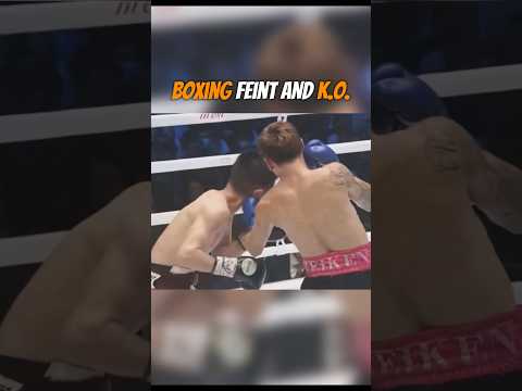 Boxing feint and k.o. #boxing #boxer #mma #martialarts