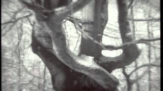 The Crooked Spoke - Down Sunset