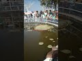 Swaminarayan Bhagwan Ni Aarti Keval Bhalodiya