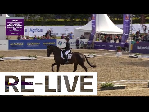 RE-LIVE  | Individual - Grade IV - Para Dressage - ECCO FEI World Championships 2022