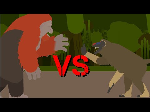 (SNPMCB) Gigantopithecus VS Dinopithecus