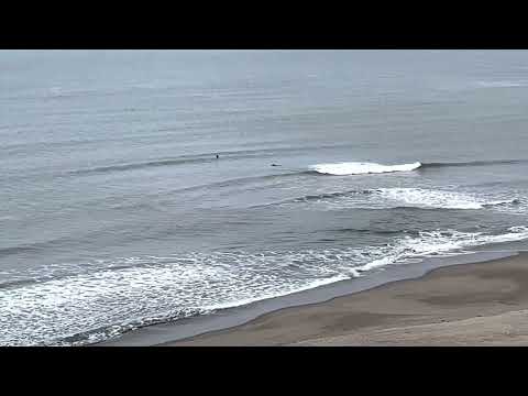 3/9/23 0830 surf check. Very calm so far.