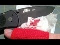 Kershaw Blur Pinky Cut