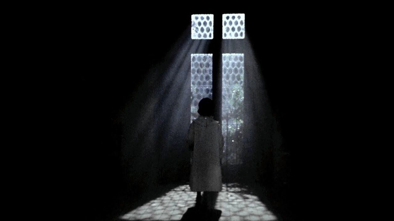 Haunted memory: the cinema of Víctor Erice