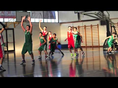 stupende foto delle aquile lonato under 14