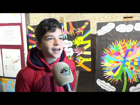 haber video1