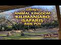 Kilimanjaro Safaris Full POV Almost Every Animal Early Morning Animal Kingdom 2026