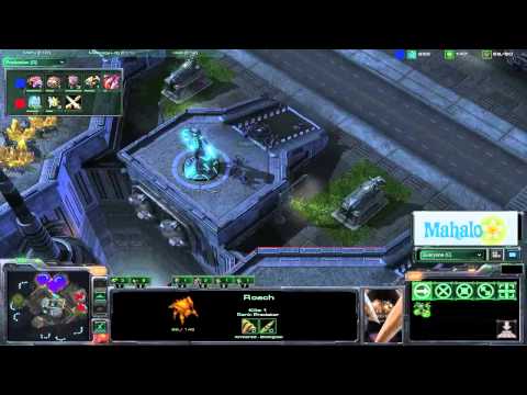 Kiwikaki v Ret MLG Dallas 2010