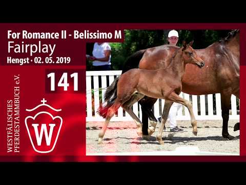 141 Fairplay Hengst v. For Romance II - Belissimo M
