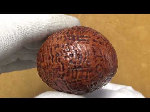 Pipa L'Anatra Sabbiata  - Bent Apple - filtro 9mm - AN119