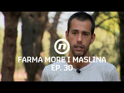 Tko će biti drugi duelist? - Epizoda 30 | Farma More i Maslina