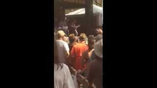 Sam Bush- Stingray- Springfest &#39;14