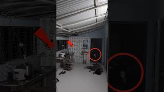 Download lagu #ghost #ghostlytales #cat #ghostystory #paranormal #spookytales #explore #scarytales #animals mp3