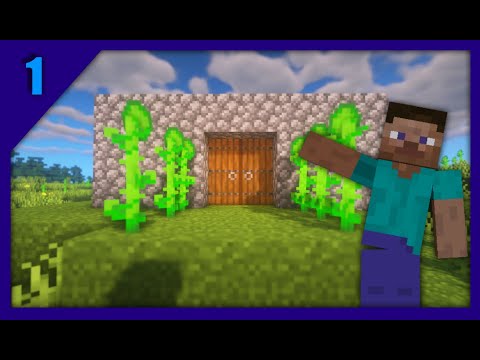 Stevix - Ep 1 - Spawn