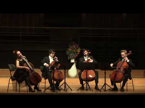 G.Fauré: "Pavane" for cello - quartet