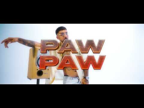 Young gipsy - Paw paw (video oficial) prod by owiizs