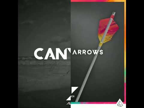 Avicii - Canyons vs Broken Arrows (so11ER Mashup)