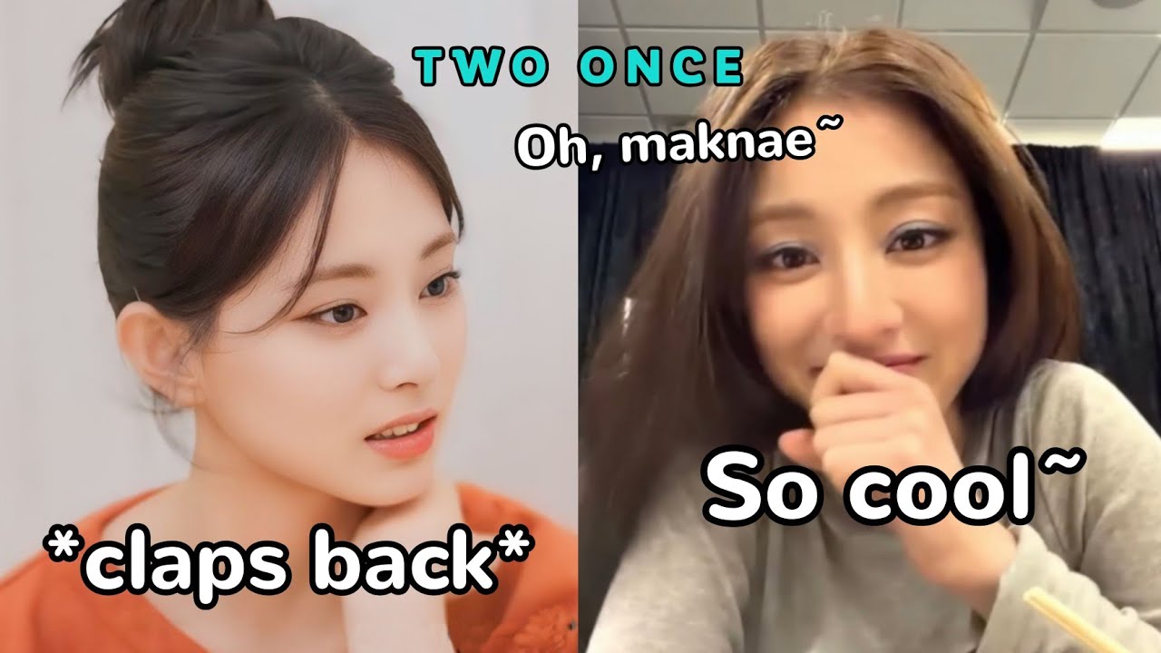 twice unnies react to Tzuyu's savage comeback against a hater