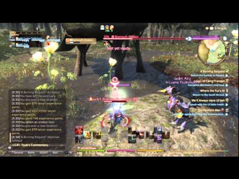 FFXIV: ARR - "A Realm Relived" - 50 - Questing in Costa del Sol and Camp Tranquil