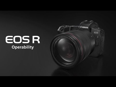 Canon EOS R Mirrorless Digital Camera with 24-105mm Lens