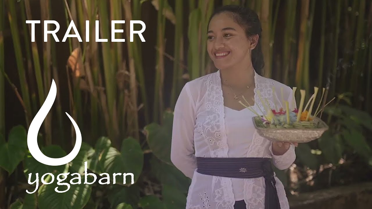 Discover the highlights of The Yoga Barn.