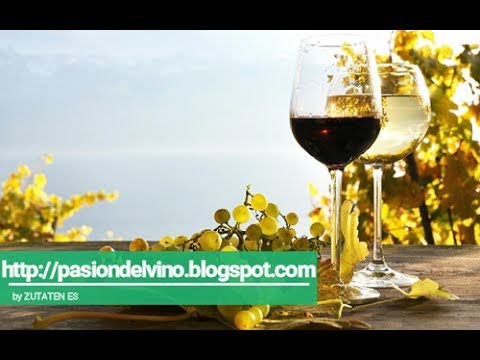 The secret behind Iran s fabled wine (SHIRAZ)BBC CHANNEL
