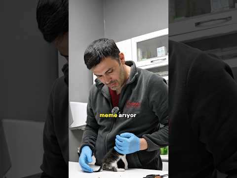 anne şefkati nedir🌸🥰