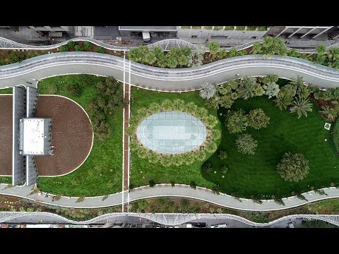 youtube embeded image