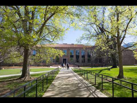 Behind the Scenes at CSF: Walk-Through Tour