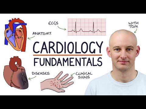 Learn Cardiology in One Video - Fundamentals