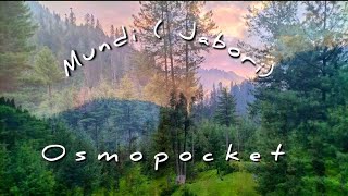 Mansehra Mundi (Jabori) | Northern area |Siran Valley | Awesome place | #track #tourist #beauty