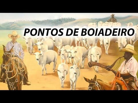 PONTOS DE BOIADEIRO.