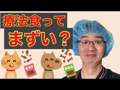 胃の調子が悪い猫のための家庭療法