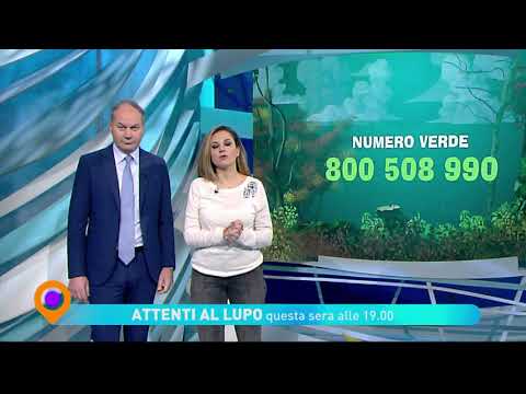 "Attenti al lupo" - "Lavoro" martedì 17 dicembre ore 19.00 su Tv2000