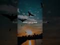 Parindey B Praak Slowed Reverb Songs